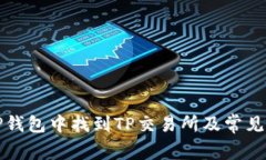 如何在TP钱包中找到TP交易所及常见问题解答