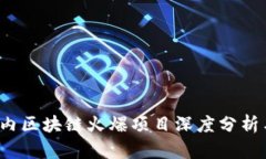 2023年国内区块链火爆项目深度分析与前景展望