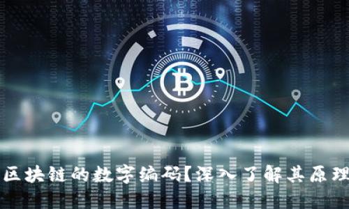什么是区块链的数字编码？深入了解其原理与应用