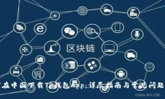 如何在中国下载TP钱包App：详尽指南与常见问题解