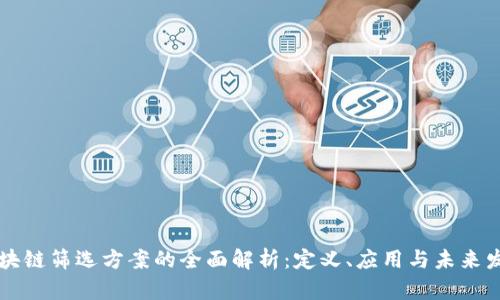 区块链筛选方案的全面解析：定义、应用与未来发展