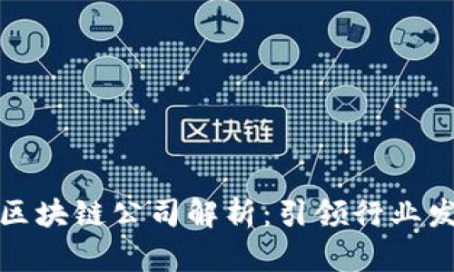 中国三大区块链公司解析：引领行业发展的先锋