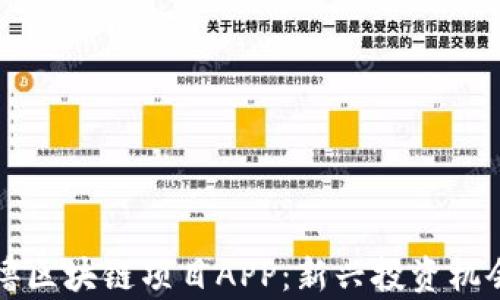 
深入了解零撸区块链项目APP：新兴投资机会与风险分析