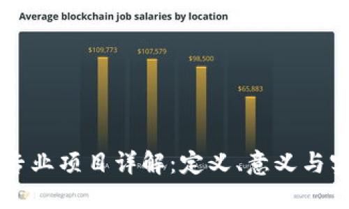 区块链专业项目详解：定义、意义与实践应用
