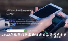2023年最热门的区块链项目及其代币分析