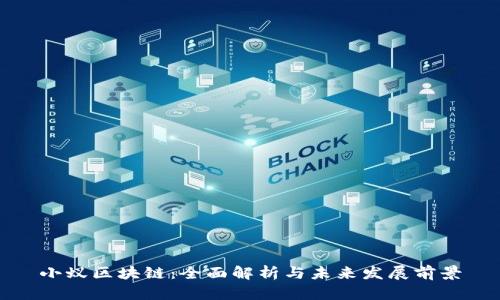 小蚁区块链：全面解析与未来发展前景