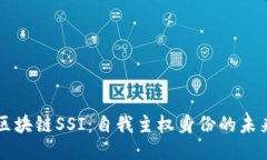 区块链SSI：自我主权身份的未来