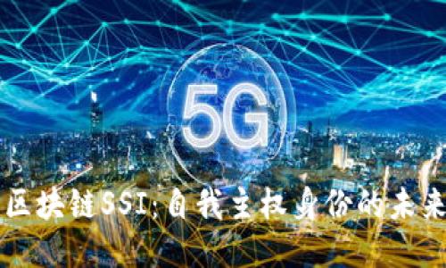 区块链SSI：自我主权身份的未来