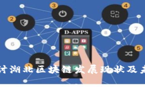 深入探讨湖北区块链发展现状及未来前景