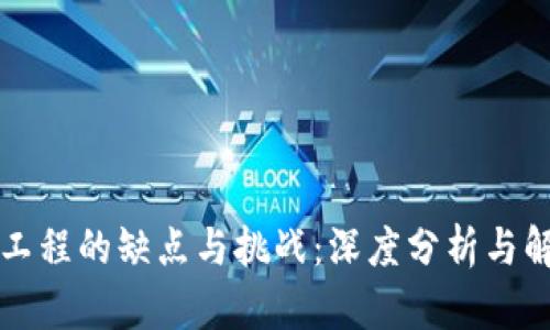 区块链工程的缺点与挑战：深度分析与解决方案