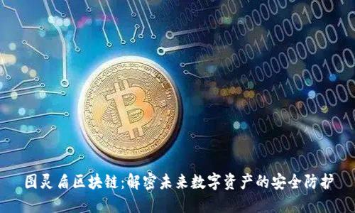 图灵盾区块链：解密未来数字资产的安全防护