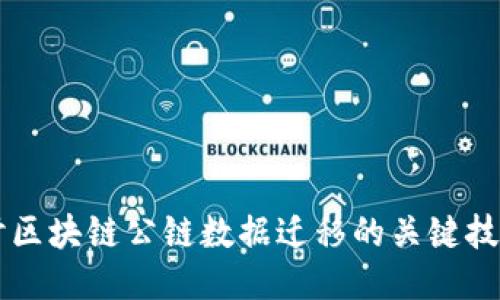 深入探讨区块链公链数据迁移的关键技术与应用