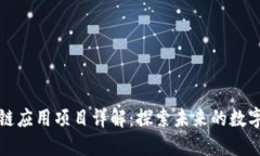 区块链应用项目详解：探索未来的数字经济