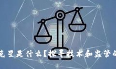 区块链的克星是什么？探寻技术和监管的双重挑
