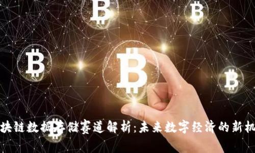 区块链数据存储赛道解析：未来数字经济的新机遇