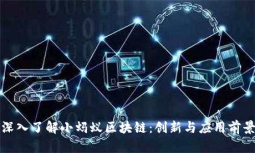 深入了解小蚂蚁区块链：创新与应用前景