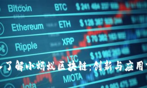 深入了解小蚂蚁区块链：创新与应用前景