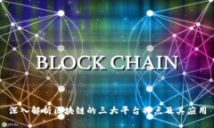 深入解析区块链的三大平台特点及其应用