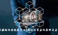 区块链的米粒是什么？探秘其背后的原理与应用