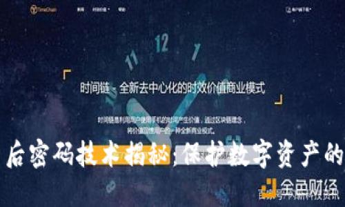 区块链背后密码技术揭秘：保护数字资产的核心原理