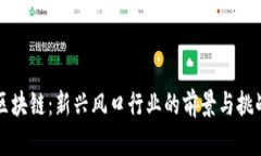 区块链：新兴风口行业的前景与挑战