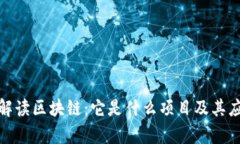 : 全面解读区块链：它是什么项目及其应用前景