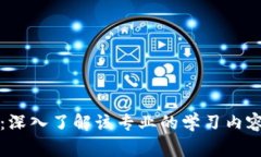 区块链矫正：深入了解该专业的学习内容与发展