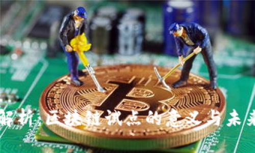 深入解析：区块链试点的意义与未来展望