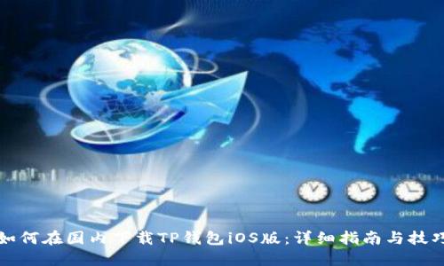 如何在国内下载TP钱包iOS版：详细指南与技巧