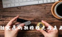 中国区块链发展的独特特点与未来趋势分析