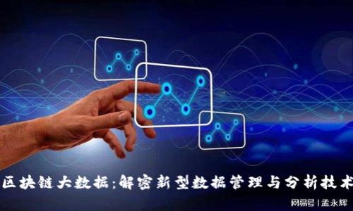 区块链大数据：解密新型数据管理与分析技术