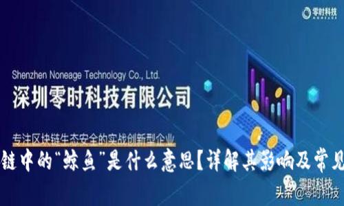 区块链中的“鲸鱼”是什么意思？详解其影响及常见问题