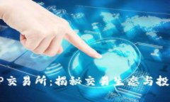 币圈TP交易所：揭秘交易生态与投资策略