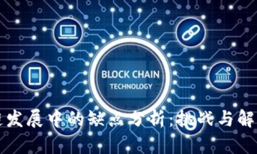 区块链发展中的缺点分析：挑战与解决方案