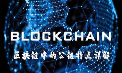 区块链中的公链特点详解