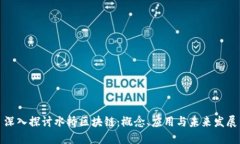 深入探讨水桥区块链：概念、应用与未来发展