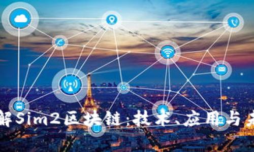 深入了解Sim2区块链：技术、应用与未来前景
