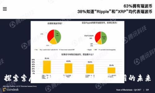 探索索尼区块链数据库：技术与应用的未来