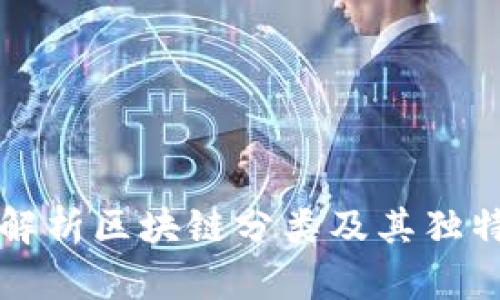 深入解析区块链分类及其独特特点