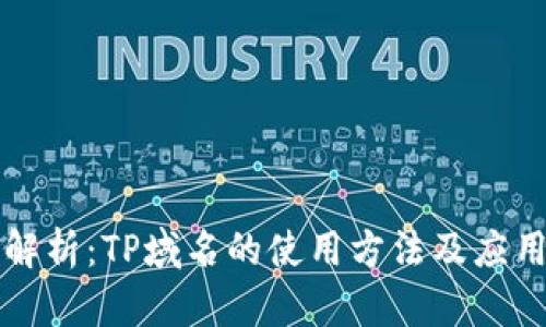详细解析：TP域名的使用方法及应用场景