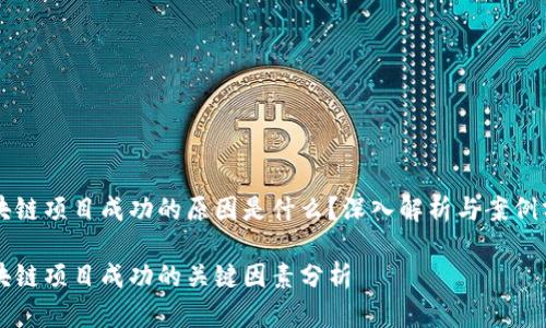 区块链项目成功的原因是什么？深入解析与案例分析

区块链项目成功的关键因素分析