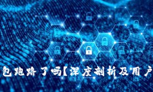 TP钱包跑路了吗？深度剖析及用户指南