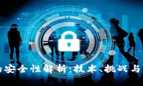 区块链的安全性解析：技术、挑战与未来发展