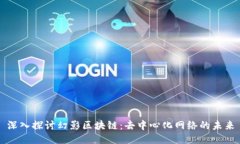 深入探讨幻影区块链：去中心化网络的未来