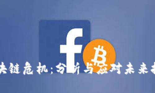 区块链危机：分析与应对未来挑战