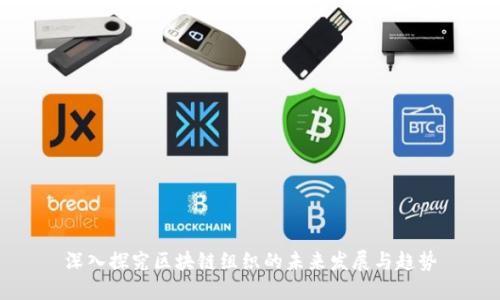 深入探究区块链组织的未来发展与趋势