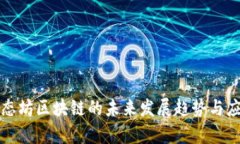 揭示星态坊区块链的未来发展趋势与应用前景