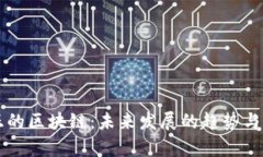 真正的区块链：未来发展的趋势与实践