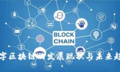 国内数字区块链的发展现状与未来趋势探讨