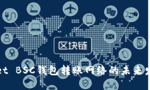 TPWallet BSC钱包转账网络的未来发展趋势